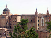 urbino